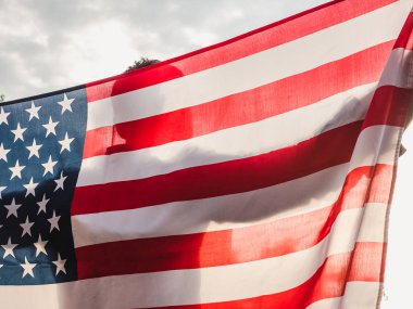 Yakışıklı, genç adam Amerikan bayrağı sallıyor