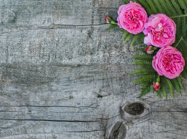 Güzel, bahar çiçekleri eski tahtaları üzerinde yalan