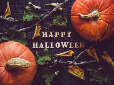 Alfabenin harfleri ve olgun balkabağı