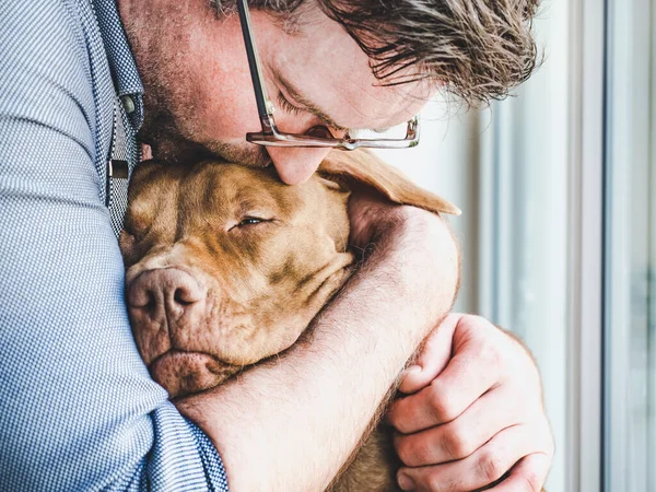 Yakışıklı bir adam ve sevimli bir köpek yavrusu. Yakın plan.