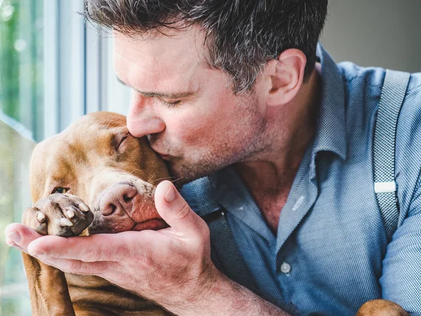 Homem Bonito Abraçar Cachorrinho Encantador Close Dentro Casa Foto Estúdio — Fotografia de Stock