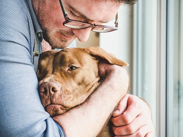 Çekici bir köpeği kucaklayan yakışıklı bir adam. Yakın plan, kapalı mekan. Stüdyo fotoğrafı, beyaz renk. Bakım, eğitim, itaat eğitimi ve evcil hayvan yetiştirme kavramı
