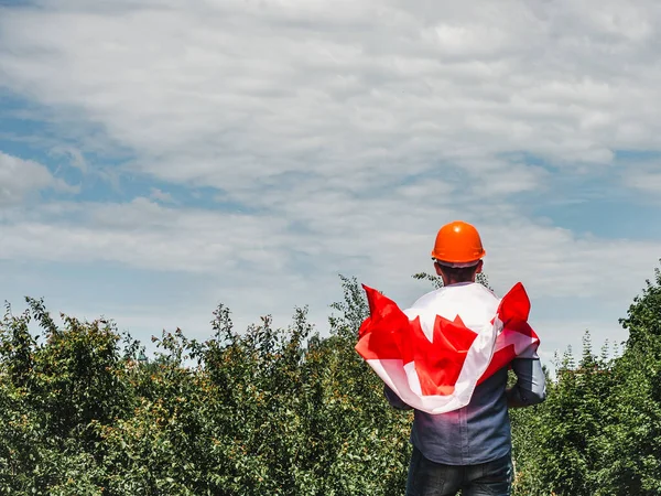 Young engineer, white hardhat and Canadian Flag in the park against the backdrop of green trees and the setting sun, looking into the distance. Close-up. Concept of labor and employment