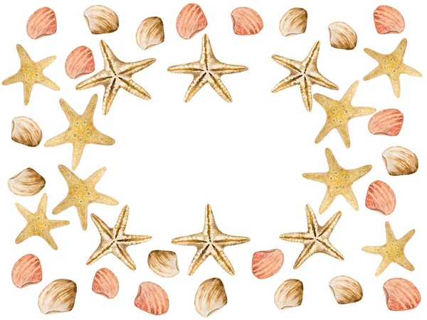 Drawing Starfish Shells Beautiful Card Close View — Stock Photo, Image