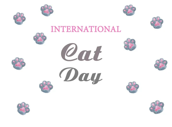 Día Internacional Del Gato Bonita Tarjeta Primer Plano Vista Desde —  Fotos de Stock
