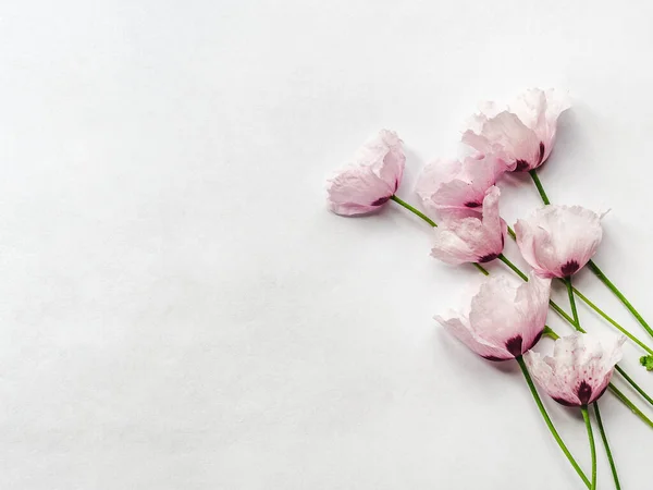 Vackra vilda blommor som ligger på ett träbord — Stockfoto