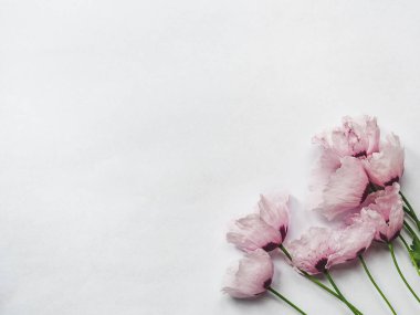 Güzel, parlak kır çiçekleri beyaz, ahşap bir masada yatıyor. Yukarıdan görüntüle, yakın plan