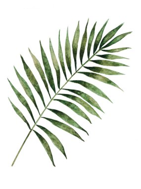 Boyalı bitkilerin olduğu parlak bir resim. Yakın çekim, yukarıdan görüş, insan yok. Suluboya boya