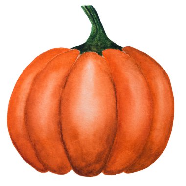 Üzerinde boyanmış balkabağı resmi olan parlak bir resim. Yakın çekim, yukarıdan görüş, insan yok. Suluboya boya. Lezzetli ve sağlıklı yemek kavramı