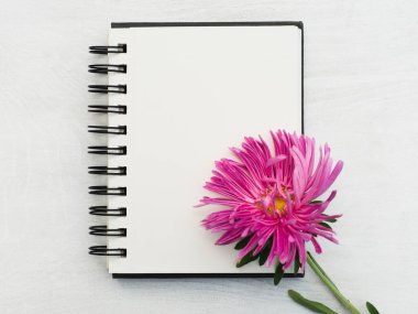 Boş bir not defteri ve güzel bir çiçek. Yakın çekim, yukarıdan manzara, ahşap yüzey. Profesyonel bir tatil için hazırlık kavramı. Akrabalar, arkadaşlar ve meslektaşlar için tebrikler.