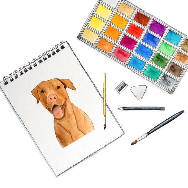 愛らしく可愛いチョコレート色の子犬 水彩で美しいドローイング 接近中だ 服従訓練 ペット飼育の概念 — ストック写真