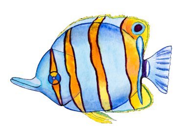 Parlak balığın güzel çizimi. Suluboya ile boyanmış resim. Yakın plan.