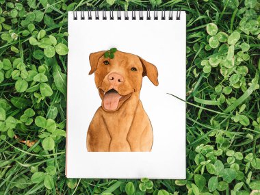 Sevimli, güzel bir çikolata rengi. Suluboyalı güzel bir resim. Yakın plan. Bakım, eğitim, itaat eğitimi ve evcil hayvan yetiştirme kavramı