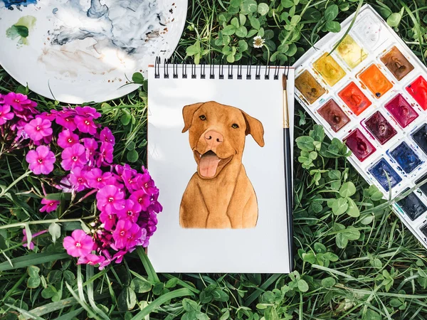 Lovable, pretty puppy of chocolate color. Beautiful drawing with watercolors. Close-up. Concept of care, education, obedience training and raising pets