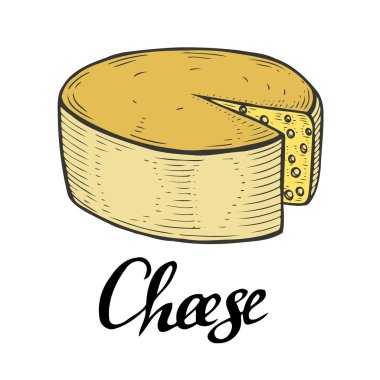 Sarı El mürekkep peynir vektör çizim oyma çekilmiş. Beyaz izole