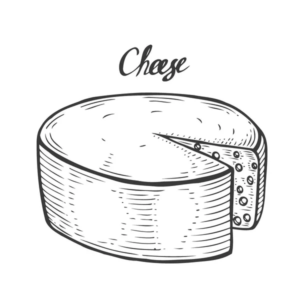 Tinta Dibujada Mano Queso Vector Grabado Ilustración Aislado Sobre Blanco — Archivo Imágenes Vectoriales