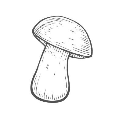 Mashroom robot resim karikatür vektör çizim elle çizilmiş illüstrasyon