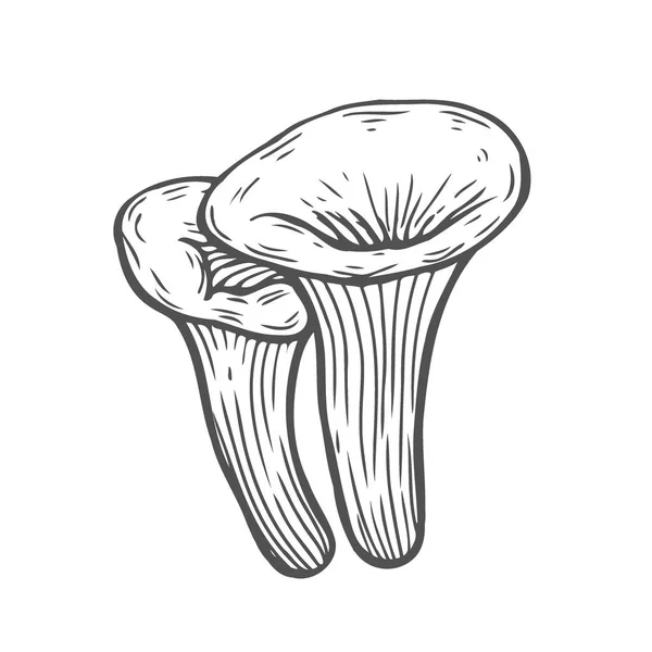 Fungo Chanterelle Disegnato Mano Illustrazione Vettoriale Disegno Cibo Schizzo Isolato — Vettoriale Stock