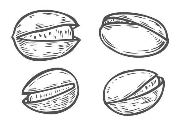 Set Pistacchi Disegnati Mano Alimenti Biologici Freschi Aperti Fritti Singoli — Vettoriale Stock