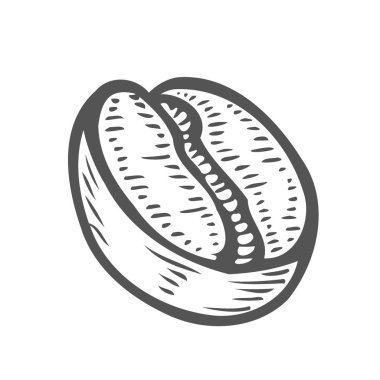 Vektör çizim vektör çizim el oyma Vintage kahve çekirdeği çizilmiş