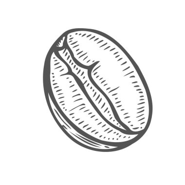 Vektör çizim vektör çizim el oyma Vintage kahve çekirdeği çizilmiş