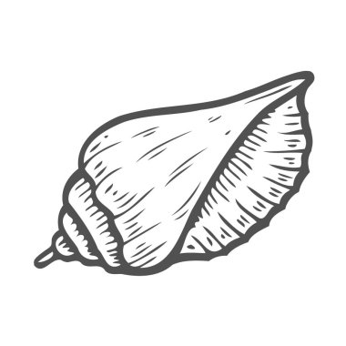 Beyaz arka plan üzerinde izole kabuk oyma vektör