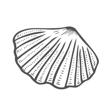 Beyaz arka plan üzerinde izole kabuk oyma vektör