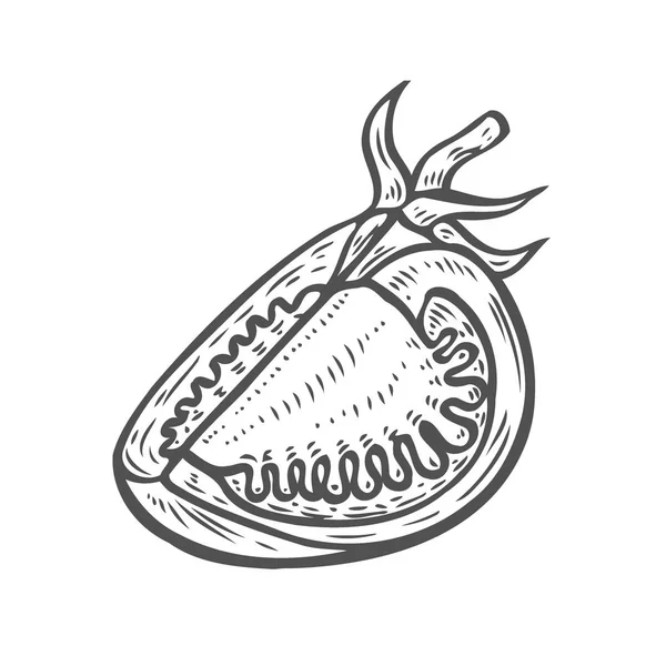 Dibujo Gráfico Vectorial Con Mitades Tomate Aisladas Sobre Fondo Blanco — Vector de stock