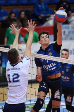 Kaposvar, Macaristan 29 Kasım 2018: Akos Kalmar (top ile) eylem arasında Kaposvar (mavi) ve Mav Elore (beyaz.) Sportcsarnok Kaposvar Macar Ulusal Kupası voleybol maçında.