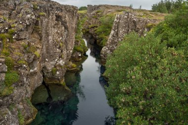 Yeşil çimen, küçük nehir ve göl güzel sahne. Tingvellir-İzlanda Milli Parkı. Althing'de Parlamento montaj yeri.