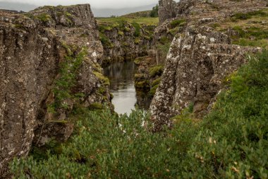 Yeşil çimen, küçük nehir ve göl güzel sahne. Tingvellir-İzlanda Milli Parkı. Althing'de Parlamento montaj yeri.