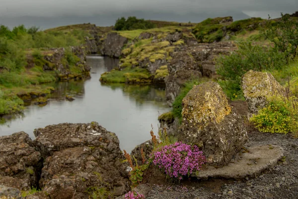 Krásné Scenérie Trávou Malé Řeky Jezera Tingvellir Island Národní Park — Stock fotografie