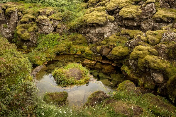 Krásné Scenérie Trávou Malé Řeky Jezera Tingvellir Island Národní Park — Stock fotografie