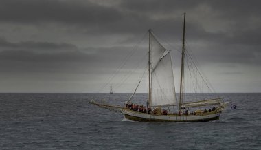 Fotoğraf avcılık balinaların Grönland Denizi. İzlanda Temmuz 2016