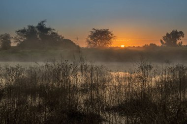 Güzel gündoğumu ve suyun. İsrail Ashkelon Ocak 2019. Manzara.
