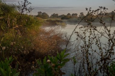Güzel gündoğumu. İsrail Ashkelon Ocak 2019. Manzara.