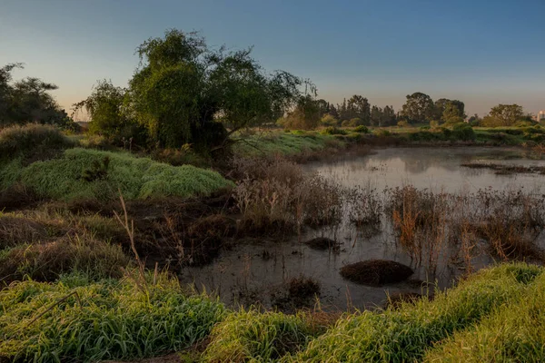 Beautiful Sunrise Israel Ashkelon January 2019 Landscape — Stock Photo, Image