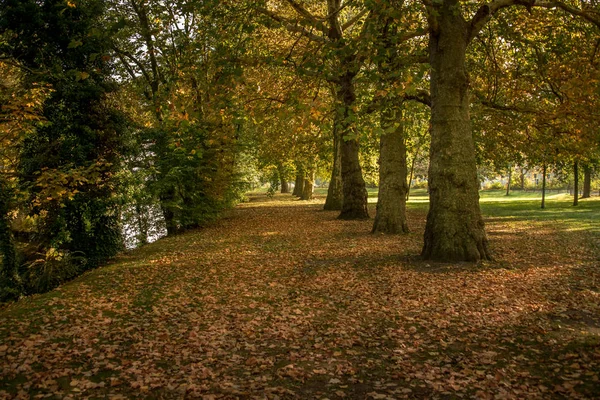 Goldener Herbst Brügge Stadtbild Belgien Oktober 2018 — Stockfoto