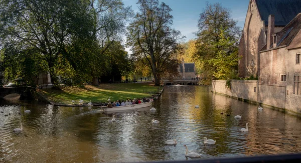 Joven Fotografía Novia Puente Madera Rodeado Cisnes Blancos Bélgica Brujas —  Fotos de Stock