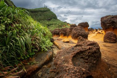 Tayvan adasının kuzey kıyısı. Mart 2019