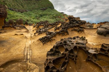 Tayvan adasının kuzey kıyısı. Mart 2019