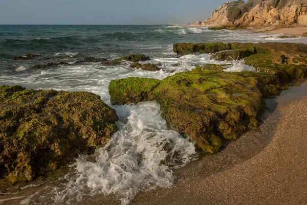 以色列 阿什凯隆 夏夜黄昏时海浪拍击岩石的景象 — 图库照片
