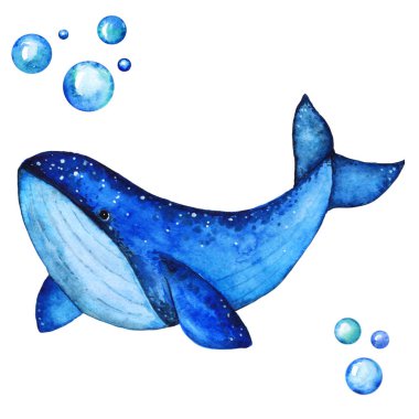 Big Blue Whale Handdrawing Watercolor Illustration a High Resolution clipart