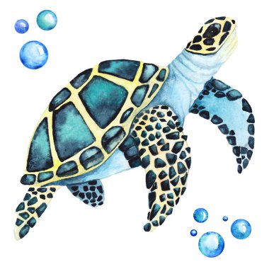 Büyük deniz kaplumbağası Handdrawing suluboya çizimi yüksek çözünürlüklü