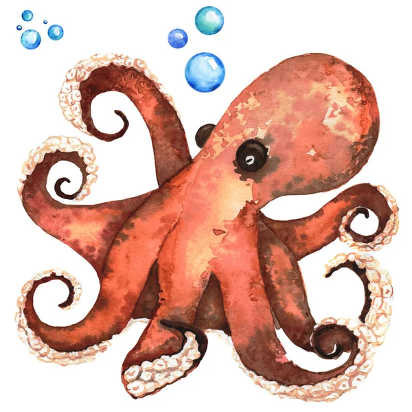 Grote bruine Octopus Handdrawing aquarel illustratie een hoge resolutie — Stockfoto