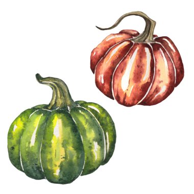 İki parlak Pumpkins suluboya çizimi sonbahar ve Cadılar Bayramı tasarımı için