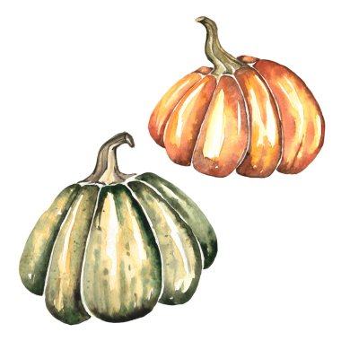 İki büyük parlak yeşil ve Turuncu kabak noktalar ve beyaz arka planda mükemmel sonbahar veya Halloween tasarım izole vurguları olan Handpainting suluboya çizimi
