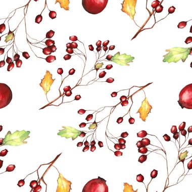 Sulu boya parlak sonbahar Paterrn kırmızı yabani gül meyveleri dalları ile