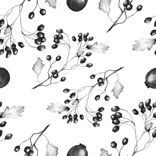 Ακουαρέλα μαύρο και άσπρο φθινόπωρο Paterrn με κλαδιά από άγρια μούρα τριαντάφυλλο — Φωτογραφία Αρχείου