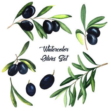 Siyah zeytin ve çorbaları suluboya kümesi